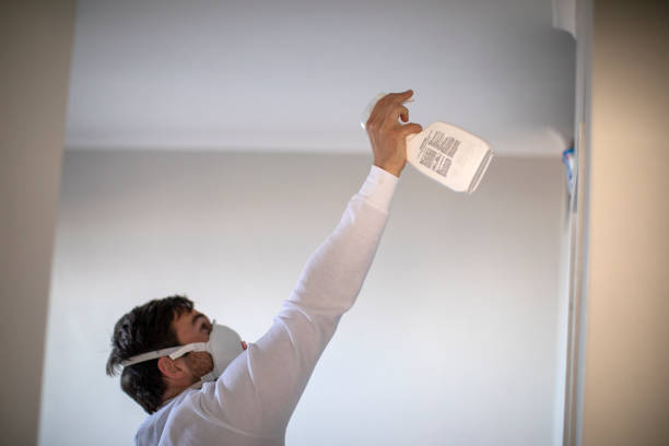 Best Emergency Mold Removal  in Primera, TX