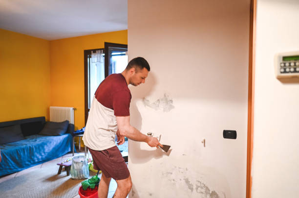 Primera, TX Mold Removal Pros